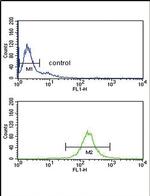 PTGER3 Antibody in Flow Cytometry (Flow)
