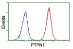 PTPN1 Antibody in Flow Cytometry (Flow)