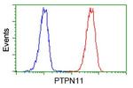 PTPN11 Antibody in Flow Cytometry (Flow)