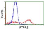 PTPRE Antibody in Flow Cytometry (Flow)