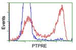 PTPRE Antibody in Flow Cytometry (Flow)