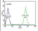 PURG Antibody in Flow Cytometry (Flow)