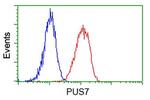 PUS7 Antibody in Flow Cytometry (Flow)