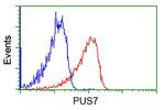 PUS7 Antibody in Flow Cytometry (Flow)