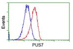 PUS7 Antibody in Flow Cytometry (Flow)