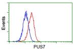 PUS7 Antibody in Flow Cytometry (Flow)