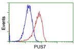PUS7 Antibody in Flow Cytometry (Flow)