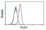 PUS7 Antibody in Flow Cytometry (Flow)