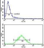 PXMP4 Antibody in Flow Cytometry (Flow)
