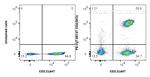 CD4 Antibody in Flow Cytometry (Flow)