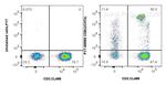 CD8 Antibody in Flow Cytometry (Flow)