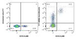 HLA-DR Antibody in Flow Cytometry (Flow)