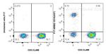 CD19 Antibody in Flow Cytometry (Flow)