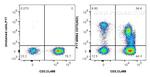 CD73 Antibody in Flow Cytometry (Flow)