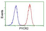 PYCR2 Antibody in Flow Cytometry (Flow)