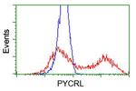 PYCRL Antibody in Flow Cytometry (Flow)