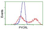 PYCRL Antibody in Flow Cytometry (Flow)