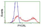 PYCRL Antibody in Flow Cytometry (Flow)