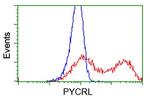 PYCRL Antibody in Flow Cytometry (Flow)
