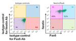 PAX6 Antibody in Flow Cytometry (Flow)