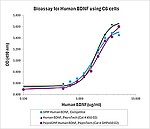 PeproGMP® Human BDNF Protein in Bioactivity (Bioactivity)