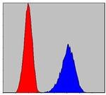Pirh2 Antibody in Flow Cytometry (Flow)