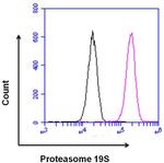 PSMD3 Antibody in Flow Cytometry (Flow)