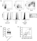 CD14 Antibody in Flow Cytometry (Flow)