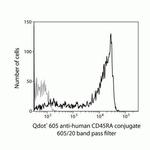 CD45RA Monoclonal Antibody (MEM-56), Qdot™ 605