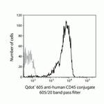 CD45 Monoclonal Antibody (HI30), Qdot™ 605