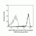 CD14 Monoclonal Antibody (TuK4), Qdot™ 800