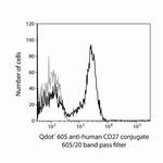 CD27 Monoclonal Antibody (CLB-27/1), Qdot™ 605