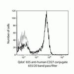 CD27 Monoclonal Antibody (CLB-27/1), Qdot™ 655