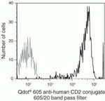 CD2 Monoclonal Antibody (S5.5), Qdot™ 605