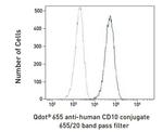 CD10 Antibody in Flow Cytometry (Flow)