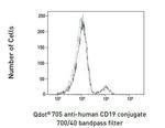 CD19 Antibody in Flow Cytometry (Flow)