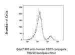 CD19 Monoclonal Antibody (SJ25-C1), Qdot™ 800