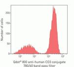 CD3e Antibody in Flow Cytometry (Flow)
