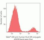 HLA-DR Monoclonal Antibody (TU36), Qdot™ 655
