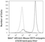 CD19 Antibody in Flow Cytometry (Flow)