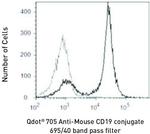 CD19 Antibody in Flow Cytometry (Flow)