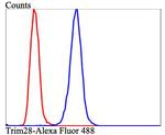 TRIM28 Antibody in Flow Cytometry (Flow)