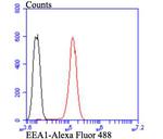 EEA1 Antibody in Flow Cytometry (Flow)