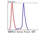 BMPR1A Antibody in Flow Cytometry (Flow)