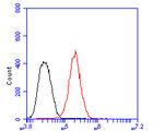 GPCR RDC1/CXCR-7 Antibody in Flow Cytometry (Flow)