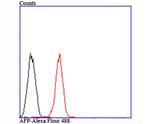 AFP Antibody in Flow Cytometry (Flow)