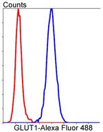 SLC2A1 Antibody in Flow Cytometry (Flow)