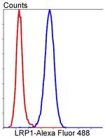 LRP1 Antibody in Flow Cytometry (Flow)