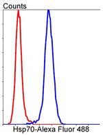 HSPA1B Antibody in Flow Cytometry (Flow)