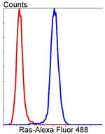 NRAS Antibody in Flow Cytometry (Flow)